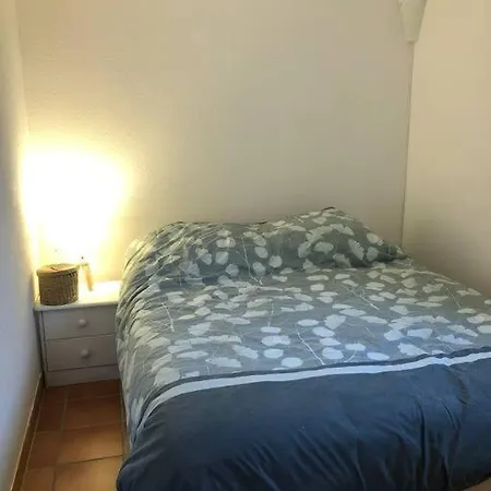 Hébergement de vacances Mazet Avec Piscine Collective